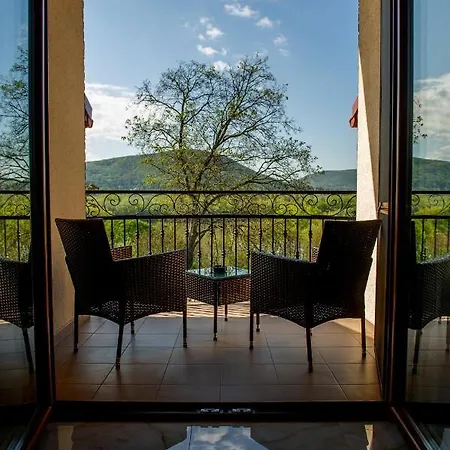 招待所 Modra Ryba Chl'aba