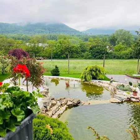 Modra Ryba 招待所 3*