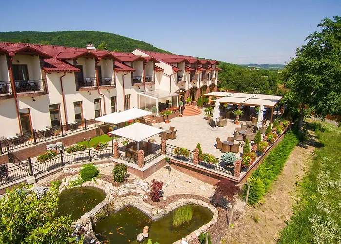 Guest house Modra Ryba Chl'aba